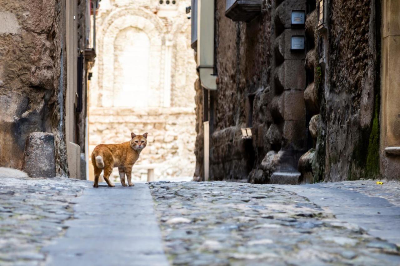 Suites Pastis Tropea - Boutique B&B By Kalavria Holidays Exterior foto